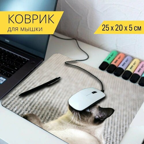 стол кошка сиамская кошка feline 65x65 см кухонный квадратный с принтом Коврик для мыши с принтом Кошка, тайская кошка, сиамская 25x20см.