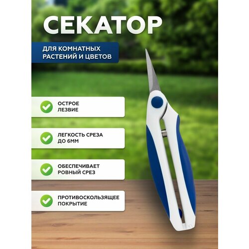 Секатор для комнатных растений