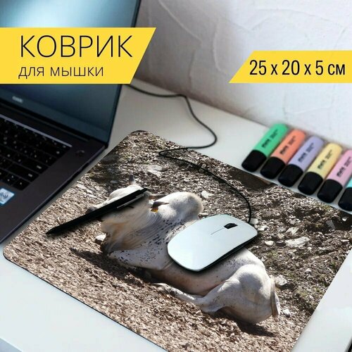 Коврик для мыши с принтом Корова, белая корова, животное 25x20см.