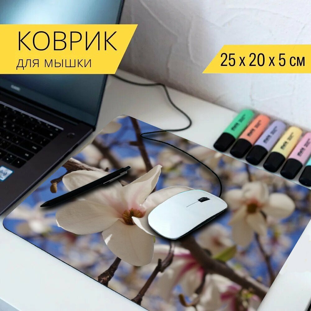Коврик для мыши с принтом  Магнолия  кобус  цветок  25x20см 