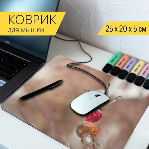 Коврик для мыши с принтом Природа, крупный план, животные 25x20см.