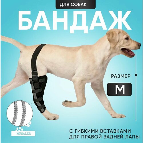 Бандаж для собак на правую заднюю лапу. На коленный сустав, с гибкими вставками, размер M.