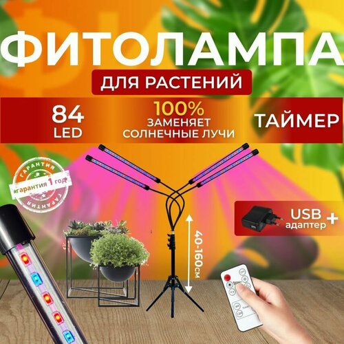 красный, синий, фиолетовый