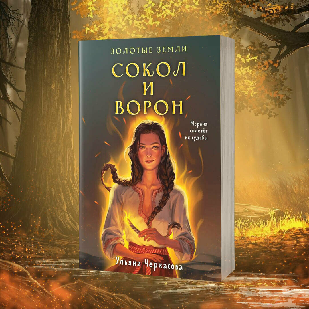 Комплект Золотые Земли (книга Сокол и ворон+тетрадь) - фото №3