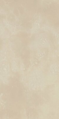 Плитка из керамогранита Italon проджект 610015000247 шарм ЭВО оникс люкс и рет для стен и пола, универсально 44x88 (цена за 1.162 м2)
