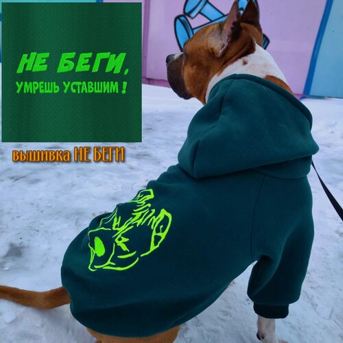 Изображение товара Кофта для собак с вышивкой "Не беги" от DOGTON средних и крупных пород. Худи с начесом и капюшоном для прогулок и выставки. Размер "XXL"
