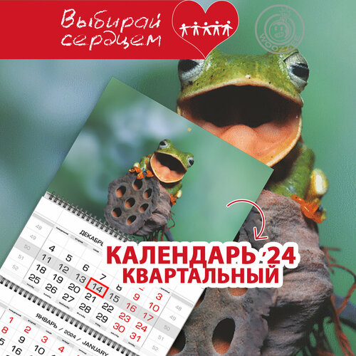 Календарь 2024 квартальный Лягушка KBA-1602-2034 / Настенный календарь