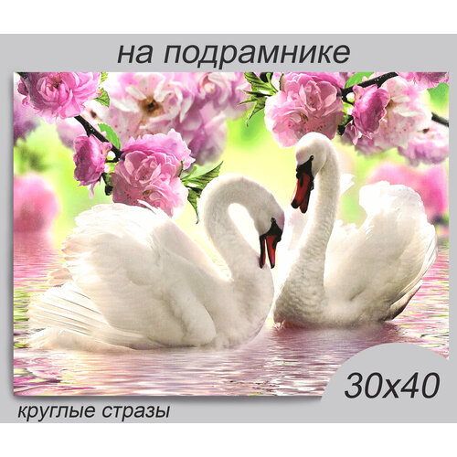 Алмазная мозаика на подрамнике 30*40 см