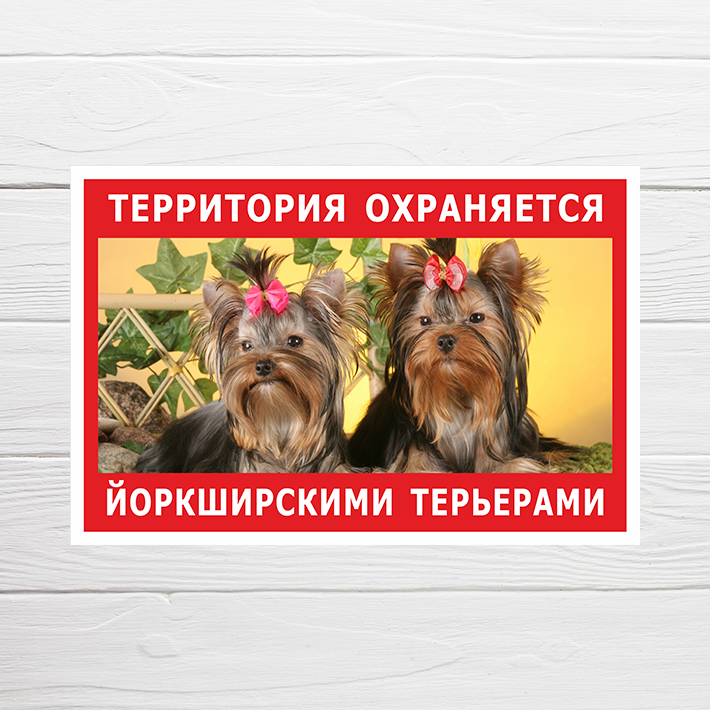 Табличка "Территория охраняется йоркширскими терьерами", 30х20 см, ПВХ