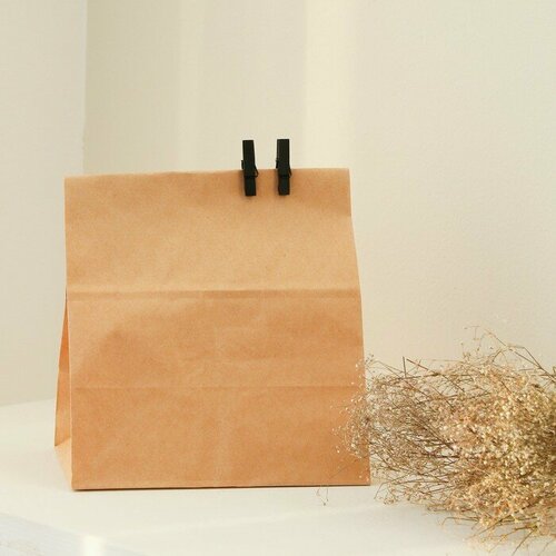 Набор прищепок для декора 50 шт чёрные 35 см 369₽