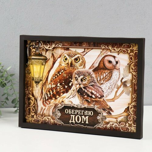 Ключница открытая Совы 5 крючков 23х32 см 720₽