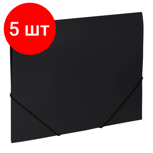 Комплект 5 шт, Папка на резинках BRAUBERG 