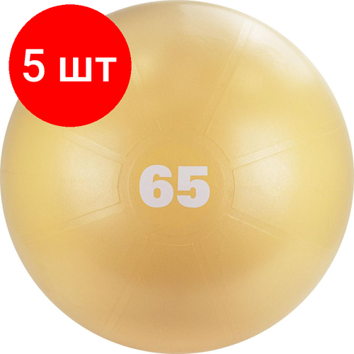 Комплект 5 штук, Мяч гимнастический TORRES, диаметр 65 см, S0000148336 мяч гимнастический torres al122165bg диаметр 65 см песочный