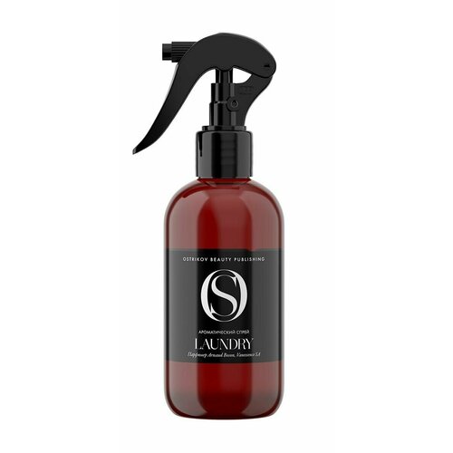 Ostrikov Beauty Publishing Прачечная