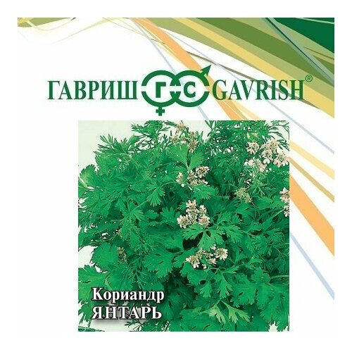 семена кориандр янтарь 100г гавриш фермерское подворье 3 упаковки Семена Кориандр Янтарь, 100г, Гавриш, Фермерское подворье