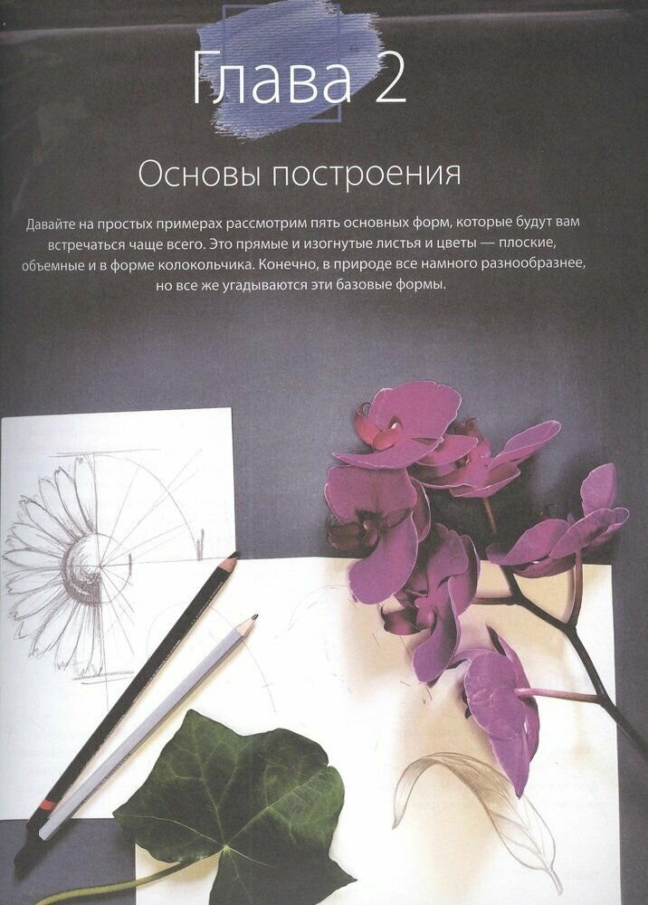 Пишем пионы, розы и другие цветы акварелью. Пошаговые мастер-классы по живописи - фото №15
