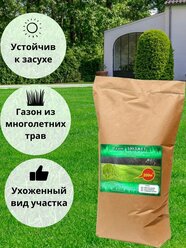 Газонная трава семена "Бюджет", 10 кг, Зеленстрой