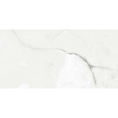 Плитка из керамогранита Absolut Gres 1025G Royal Grey Light полир для стен и пола универсально 60x120 цена за 144 м2 3614₽