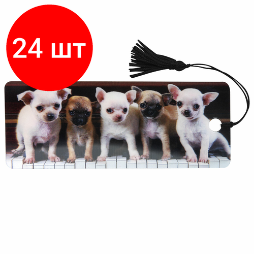 Комплект 24 шт, Закладка для книг с линейкой, 3D-объемная, BRAUBERG Милые щенки, с декоративным шнурком, 128098