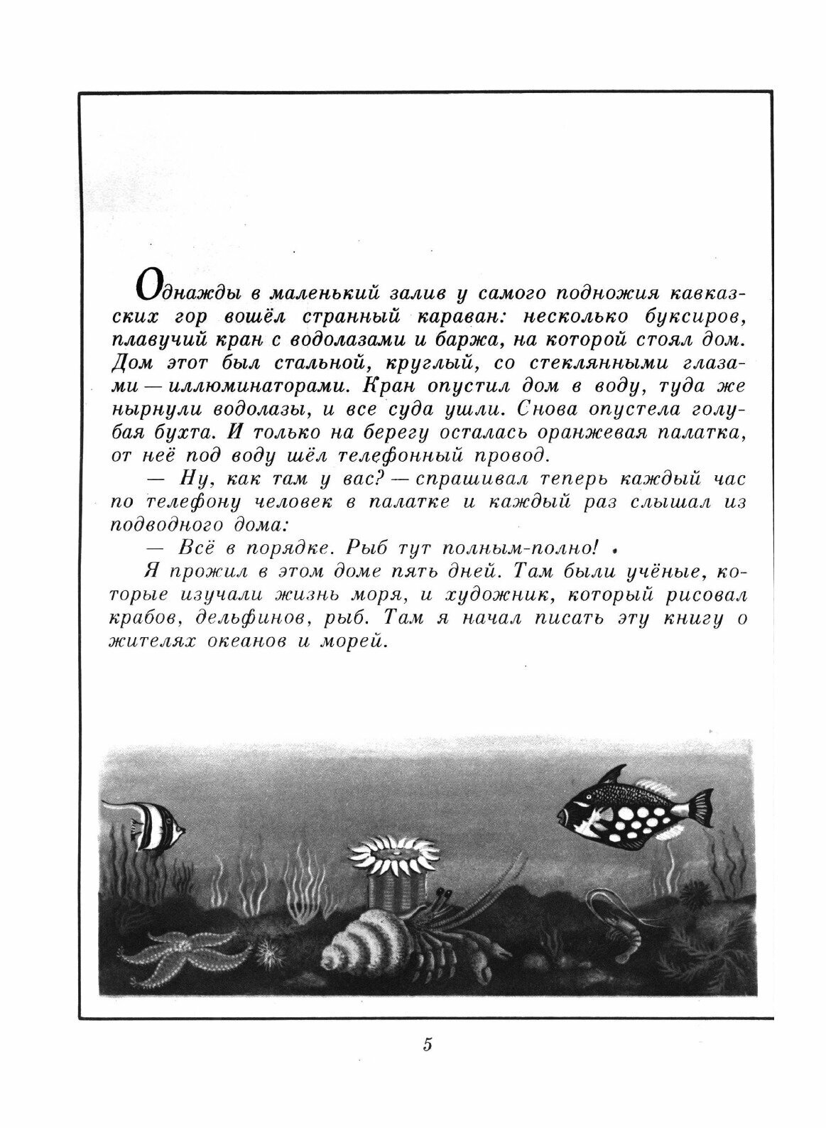 Книга В мире дельфина и осьминога - фото №5