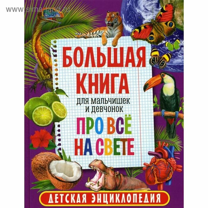 Большая книга для мальчишек и девчонок про всё на свете - фото №16