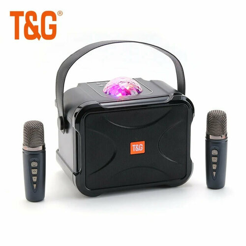 Беспроводная колонка TG543DK для караоке 200 Вт 439000₽