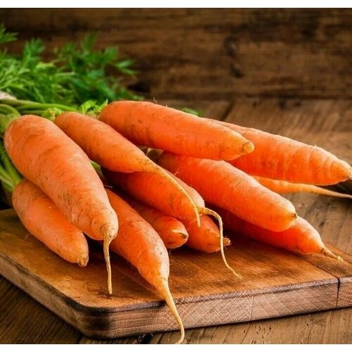 Коллекционные семена моркови Олимпус