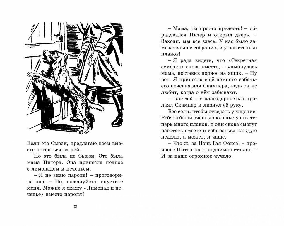 Странная кража (Блайтон Энид Мэри, Шеррокс Барджесс (иллюстратор), Волхонский Михаил (переводчик)) - фото №9