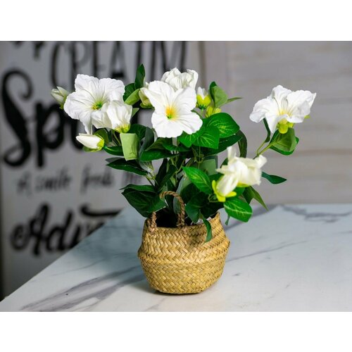 Искусственный цветок в горшке гибискус белый, 35х20 см, Koopman International 317221240-1