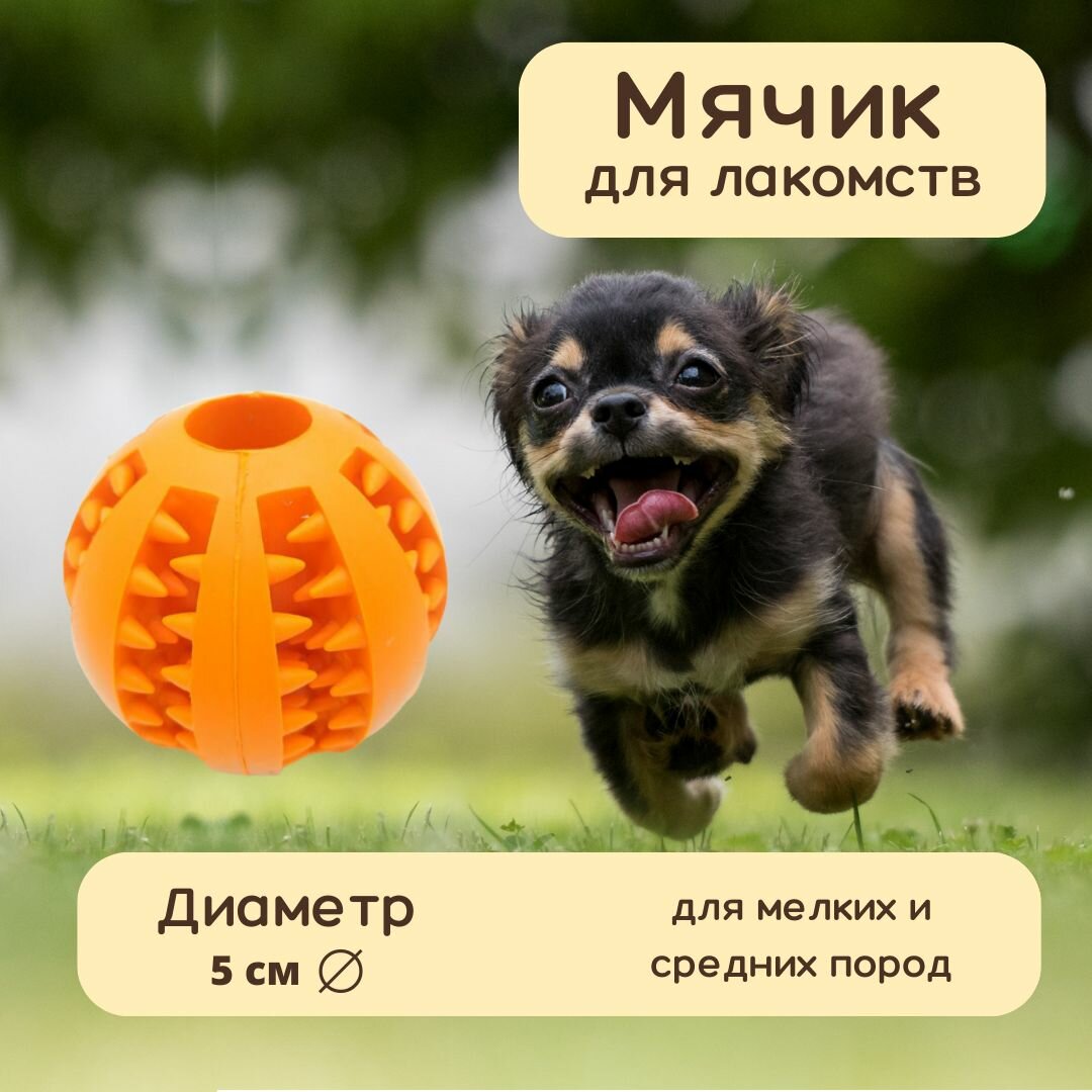 Мяч жевательный для собак / Игрушка для лакомств / Для маленьких и средних пород