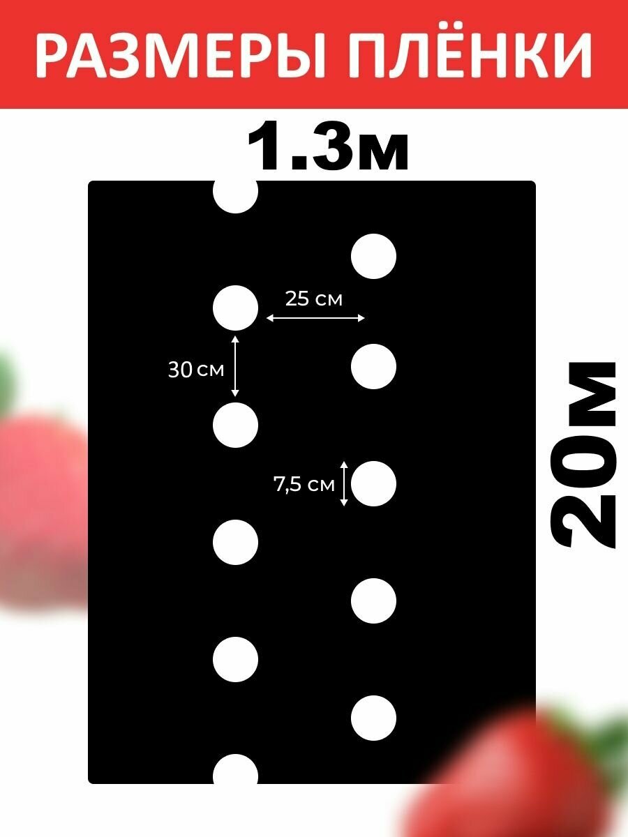 Плёнка для клубники мульчирующая черно-белая 60мкм - фотография № 2