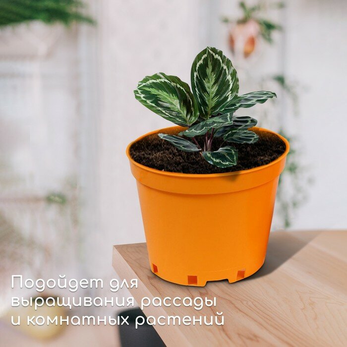 Горшок для рассады, 5 л, d = 22 см, h = 18 см, жёлтый, Greengo — фото 4