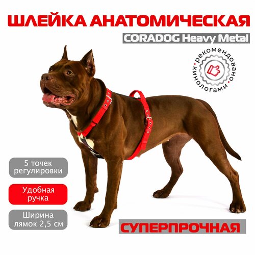 Шлейка для собак прогулочная анатомическая CORADOG Heavy Metal размер S цвет красный серый 3500₽