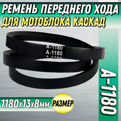 Ремень переднего хода A-1180 для мотоблоков Каскад (для косилки МБ-8,10)