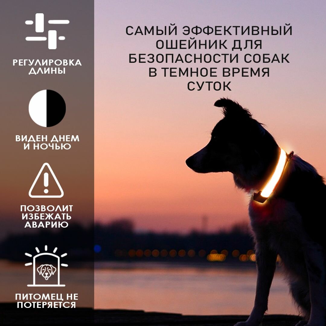 Ошейник светящийся для собак и кошек светодиодный нейлоновый оранжевого цвета, размер S - 2,5х35-43 см