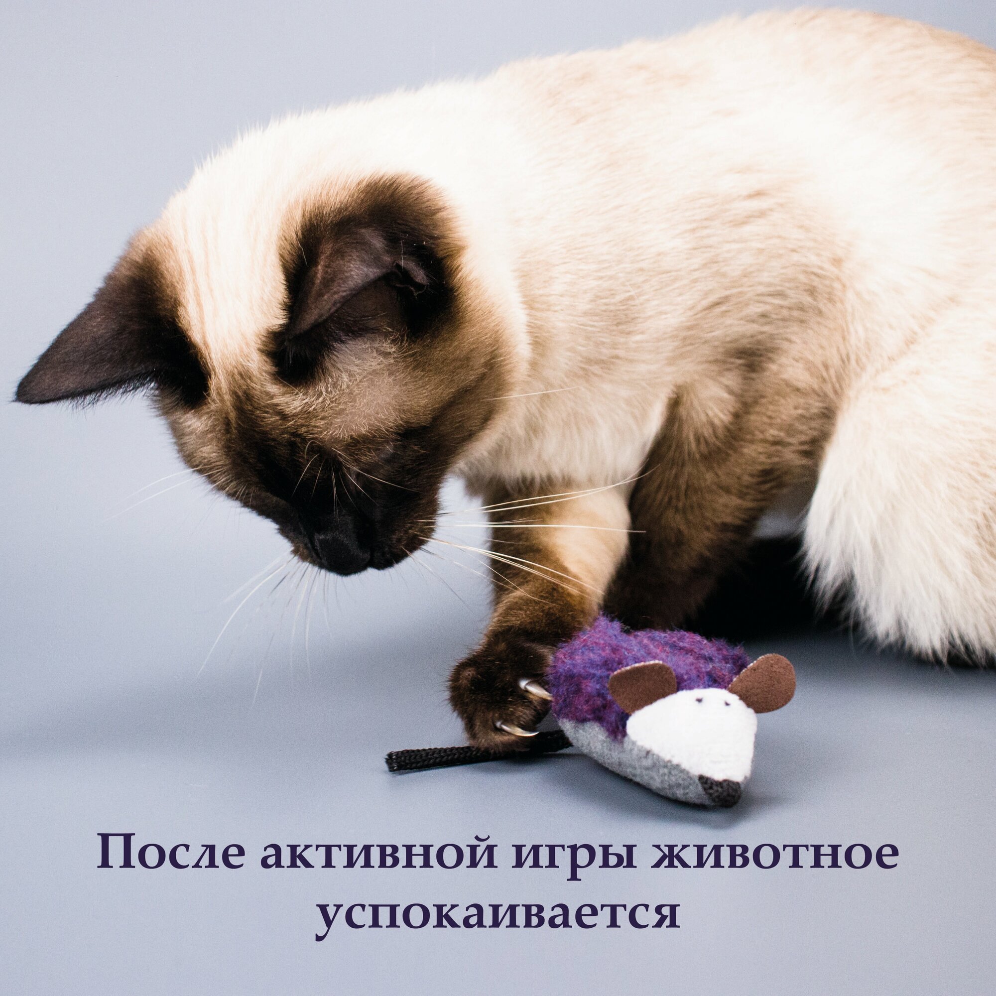 Мягкая игрушка-дразнилка "Мышь с кошачьей мятой" от бренда Зооэкспресс - фотография № 14