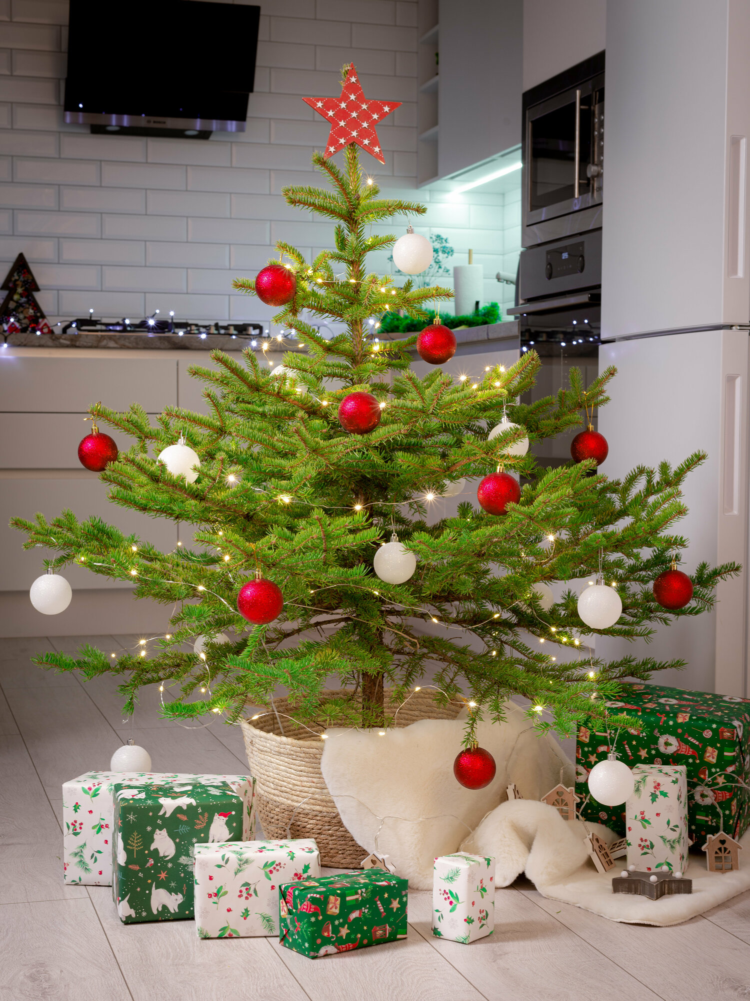 Живая новогодняя ель - ель колючая 