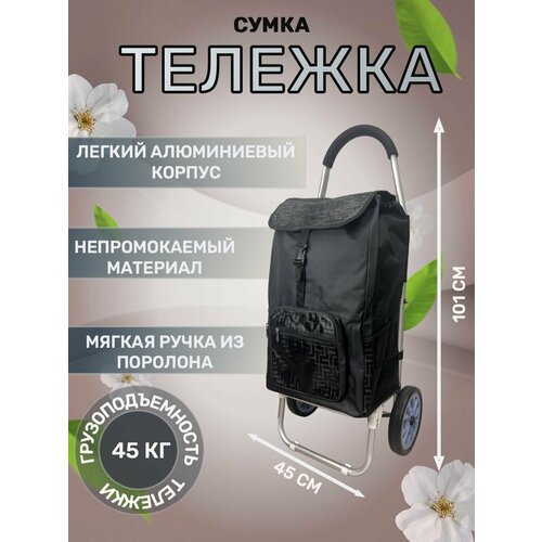 Сумка-тележка 208 чер, 50 л, 45х101х27 см, ручная кладь, черный