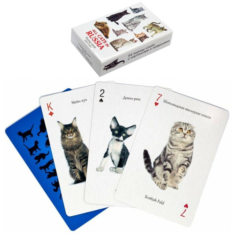 Подарки Игральные карты "Все кошки в России" (54 карты)