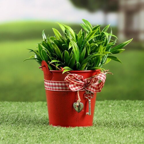 Кашпо Ведерко Рустад красное 10х10х9см 1036₽