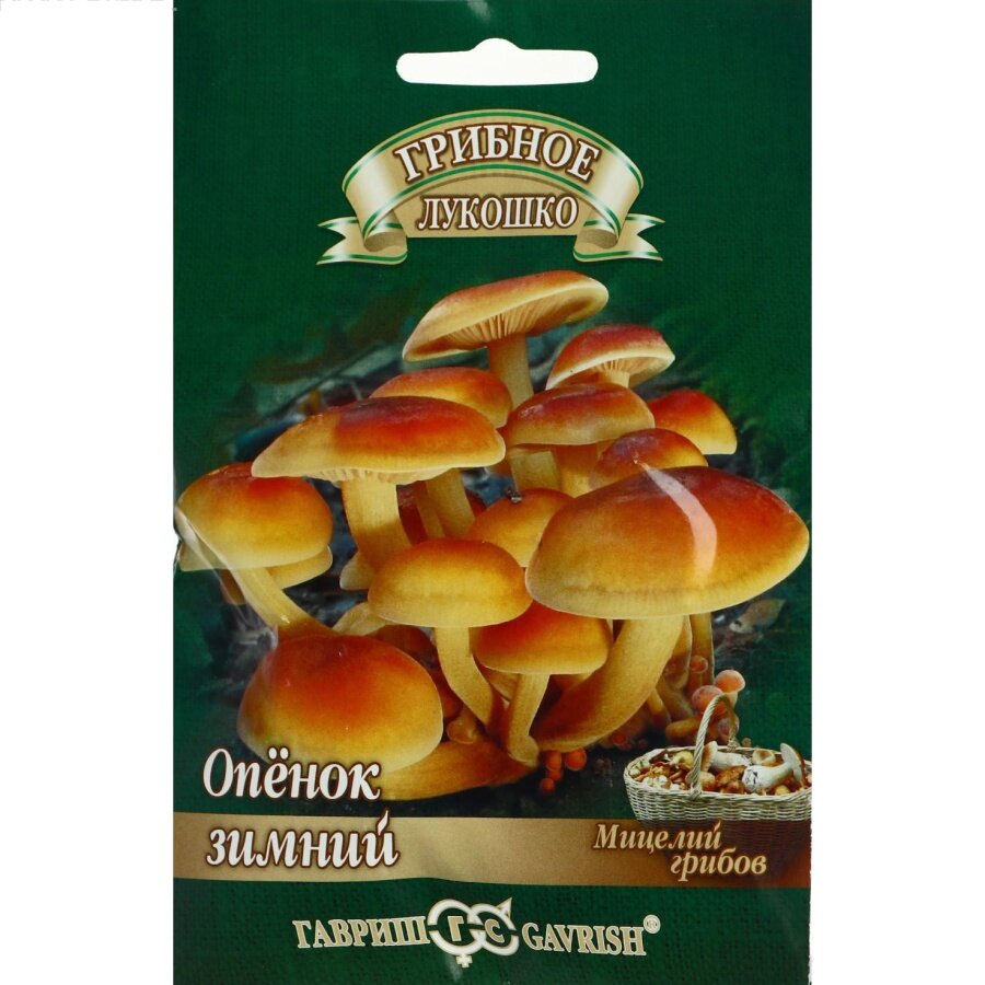 Грибы Гавриш 