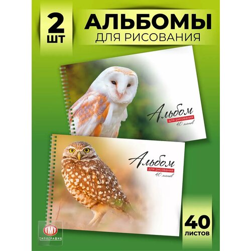 Альбом для рисования Совы от бренда Типография ТМТ набор из 2 шт формат А4 40 листов 390₽