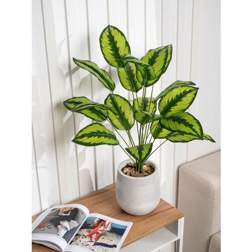 Искусственное растение диффенбахия декоративная для интерьера