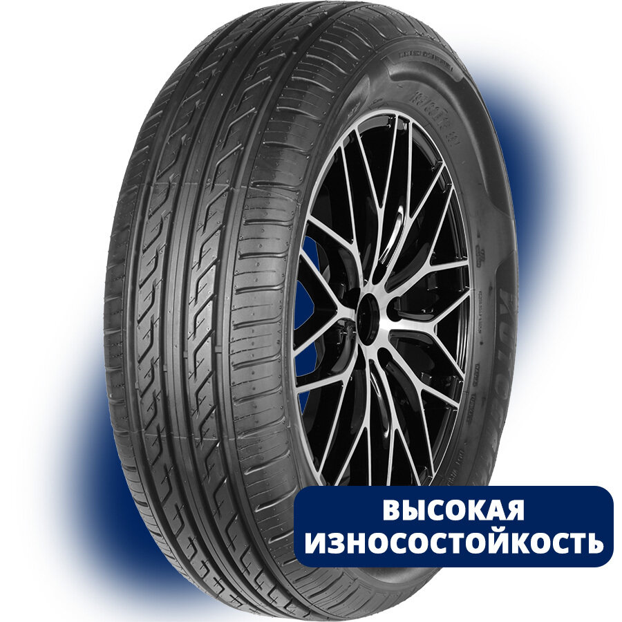 Шина Autogreen SportChaser-SC2 205/65 R16 95V летняя автомобильная