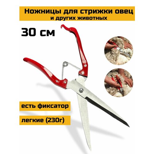 Ножницы для стрижки овец и других животных (собак, ягнят, коз, баранов, мрс, мелкого рогатого скота) / ножницы для садовых работ
