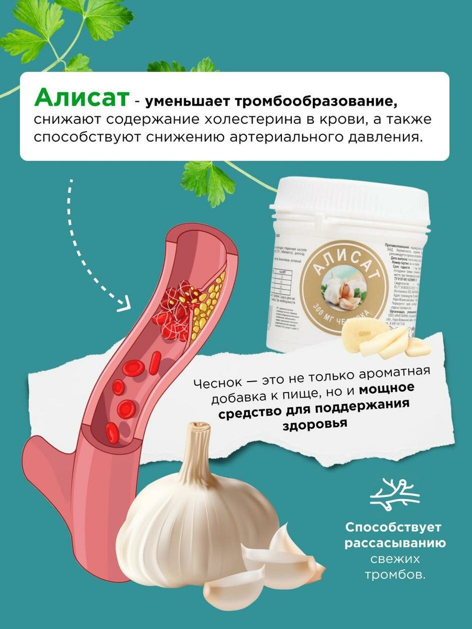 Изображение Экстракт Чеснока 60 таблеток по 440 мг, Алисат Иммунитет. ЖКТ. Сосуды. Снижение холестерина. 2 шт