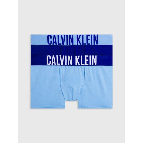 Трусы CALVIN KLEIN, 2 шт., размер 14-16 лет, синий, голубой трусы calvin klein 3 шт размер 14 16 лет серый синий