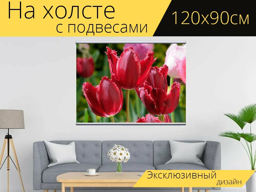 Картина на холсте "Скрученные тюльпаны, цветок, бургундия" с подвесами 120х90 см. для интерьера