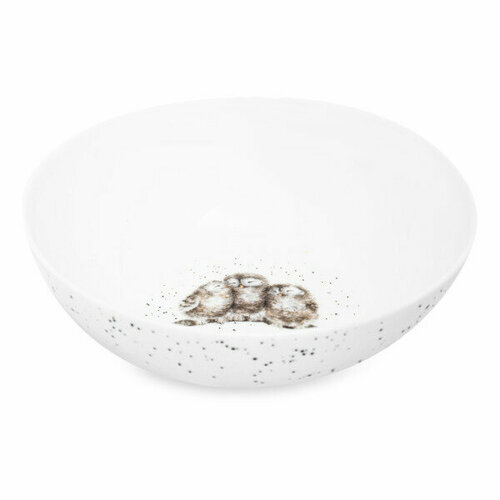 Салатник порционный Royal Worcester Забавная фауна Совята 15 см фарфор 3890₽