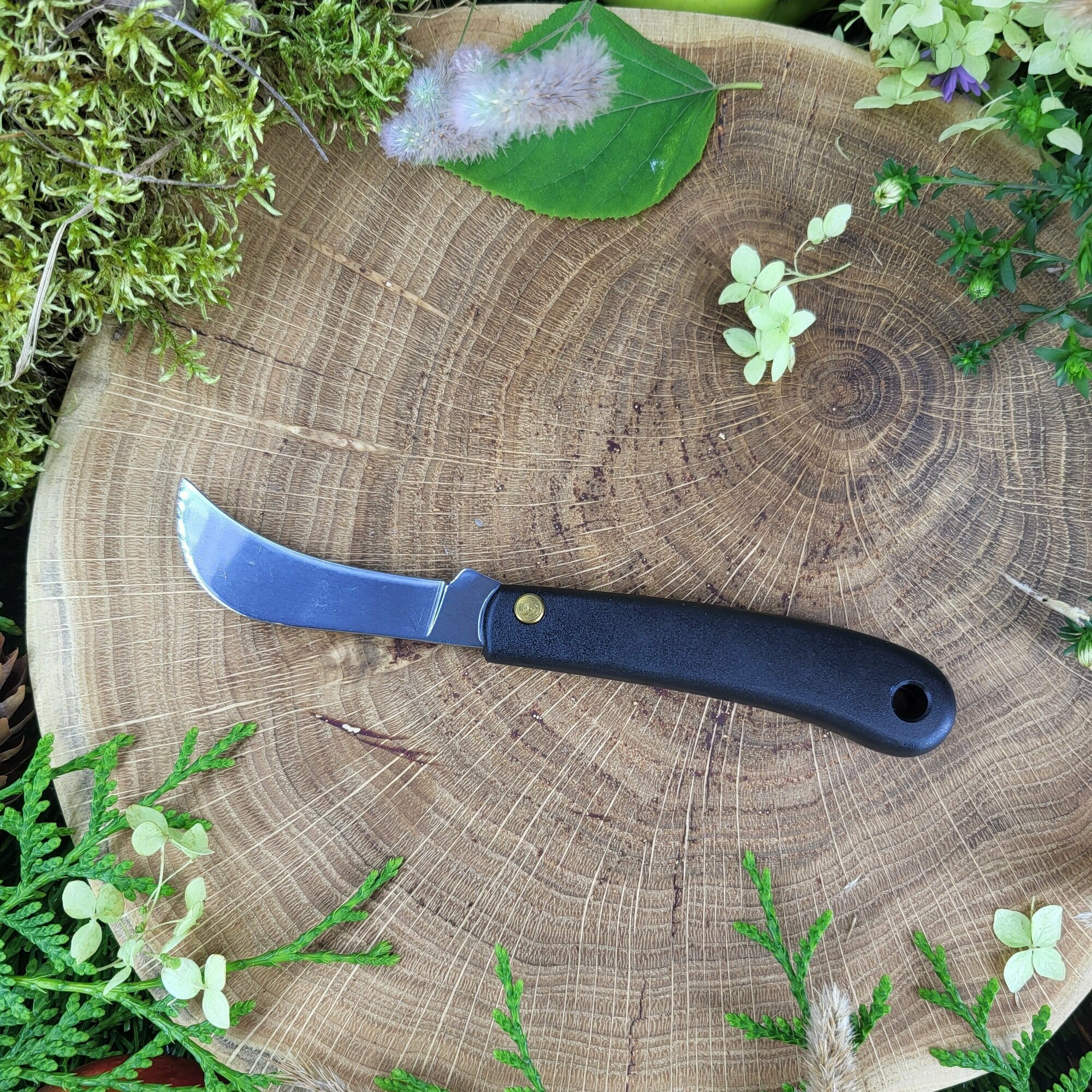Нож Добрыня садовый , грибной нож, туристический ,походный - фотография № 5